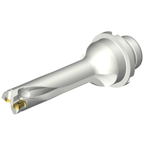 Wiertło na wymienne płytki CoroDrill® DS20 DS20-D1745DM25-04 ID:7755864 Sandvik