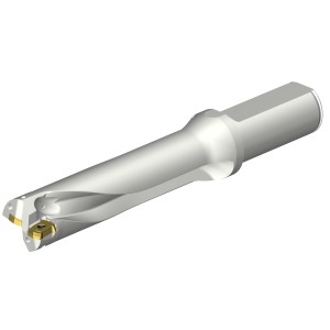 Wiertło na wymienne płytki CoroDrill® DS20 DS20-D2540LX25-04 ID:7548860 Sandvik