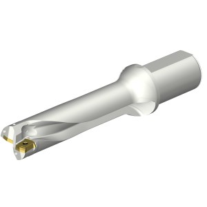 Wiertło na wymienne płytki CoroDrill® DS20 DS20-D4200L50-04 ID:7548968 Sandvik