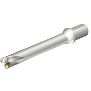 Wiertło na wymienne płytki CoroDrill® DS20 DS20-D4200L50-07 ID:7548971 Sandvik