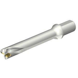 Wiertło na wymienne płytki CoroDrill® DS20 DS20-D4300L50-06 ID:7548978 Sandvik