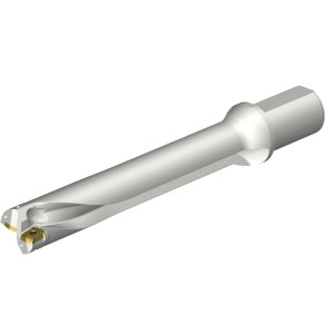 Wiertło na wymienne płytki CoroDrill® DS20 DS20-D4500L50-06 ID:7548990 Sandvik