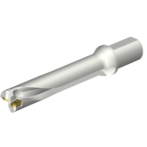 Wiertło na wymienne płytki CoroDrill® DS20 DS20-D4600L50-05 ID:7548993 Sandvik