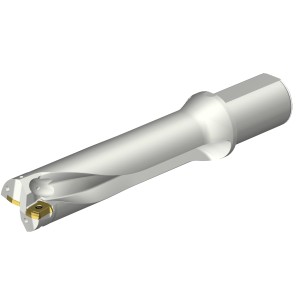 Wiertło na wymienne płytki CoroDrill® DS20 DS20-D4900L50-04 ID:7549000 Sandvik