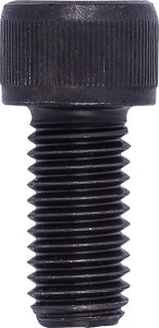 Śruba mocująca szczęki nasadzanej, wielkość 100mm M6x16 RÖHM