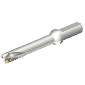 Wiertło na wymienne płytki CoroDrill® DS20 DS20-D1666LX19-06 ID:7548802 Sandvik