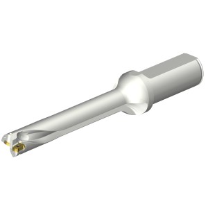 Wiertło na wymienne płytki CoroDrill® DS20 DS20-D1745LX25-06 ID:7548810 Sandvik