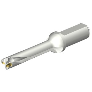 Wiertło na wymienne płytki CoroDrill® DS20 DS20-D1750L25-05 ID:8009512 Sandvik
