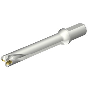 Wiertło na wymienne płytki CoroDrill® DS20 DS20-D2900L32-06 ID:7548886 Sandvik