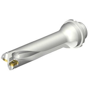 Wiertło na wymienne płytki CoroDrill® DS20 DS20-D3015DM32-04 ID:7790799 Sandvik