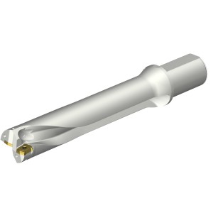 Wiertło na wymienne płytki CoroDrill® DS20 DS20-D5000L50-05 ID:7549003 Sandvik