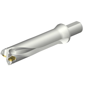 Wiertło na wymienne płytki CoroDrill® DS20 DS20-D5080LX38-04 ID:7549004 Sandvik