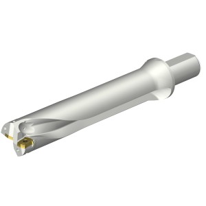 Wiertło na wymienne płytki CoroDrill® DS20 DS20-D5080LX38-05 ID:7549005 Sandvik