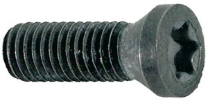 Śruba mocująca M3,5x10 T15