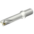 abbb7c1a2ac6edc80eacdd55276adc2e