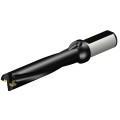b520ac15aef80635a35ebe4032235bfd
