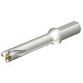 57bb3a69f1fb0596896f2509905603e4
