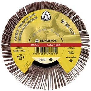Ściernica listkowa nasadzana WSM 617 125x20mm K60 Klingspor